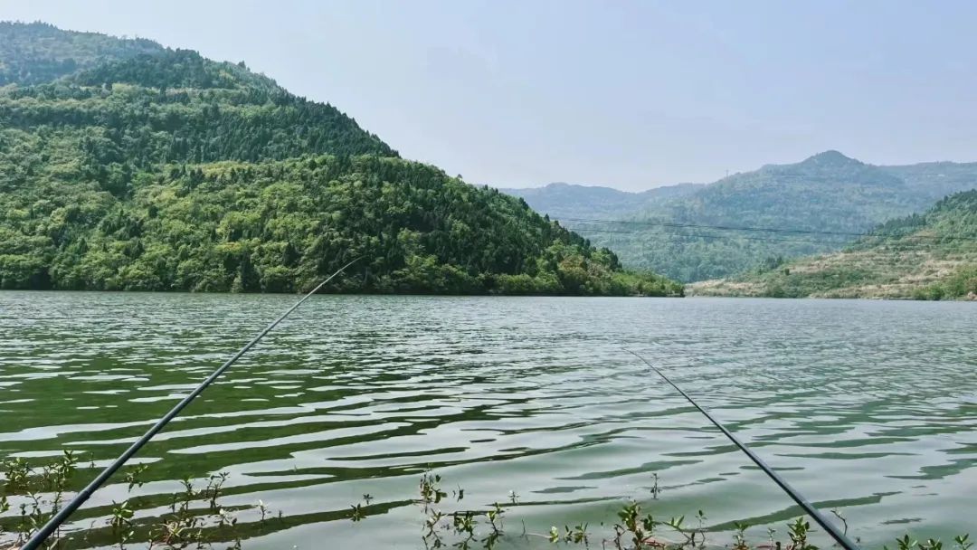 成都周边一日游露营烧烤好去处,成都周边春天适合野炊露营的地方