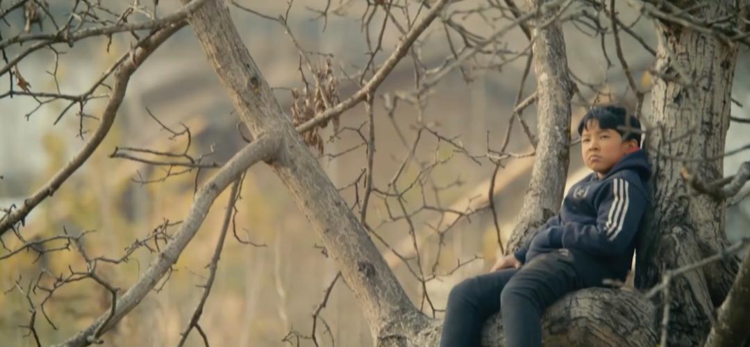 我们最难忘的毕业季,最难忘的毕业季