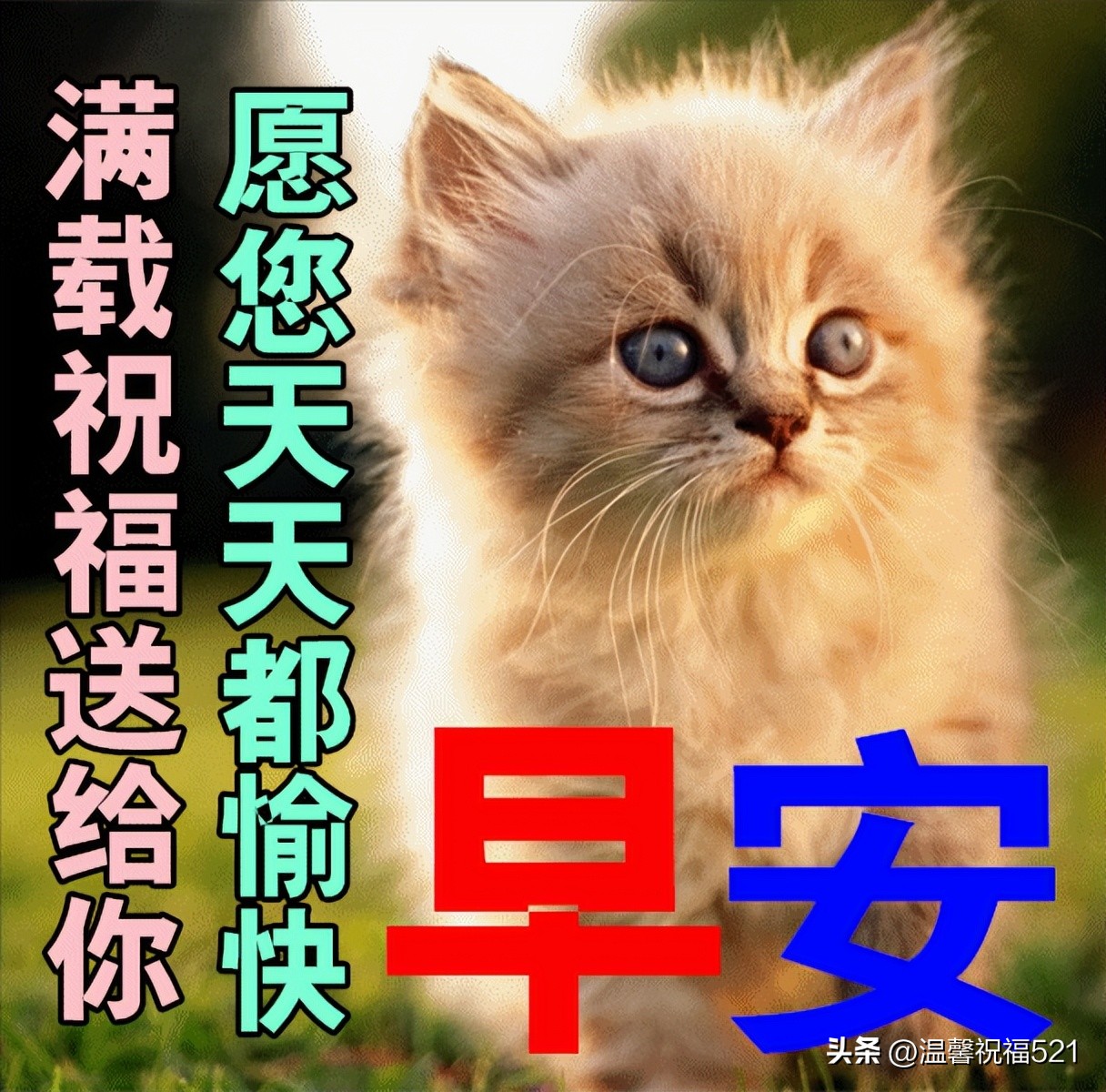 12月8日早上好,早安祝福语美好的一天从问候开始