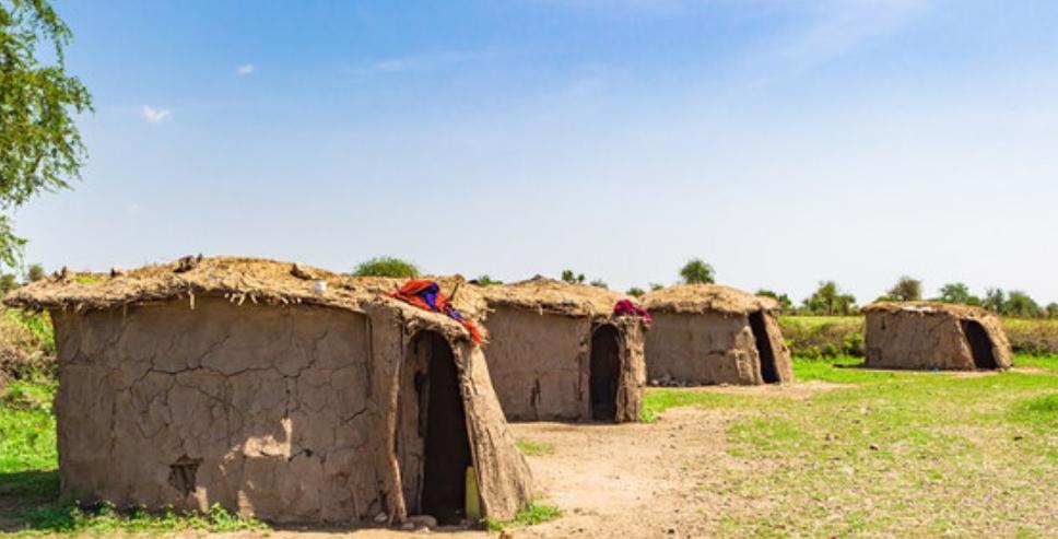 草原之王狮子怕马赛人,马赛人的狮子有多强