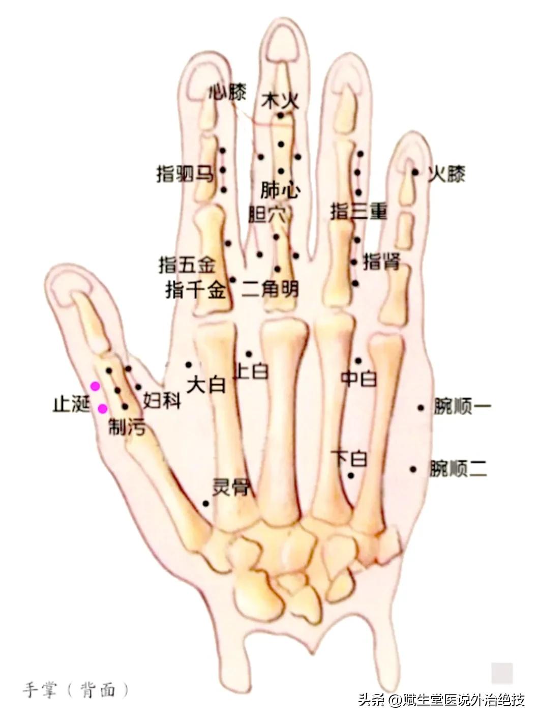 止涎穴的功效与作用,止涎穴点刺放血