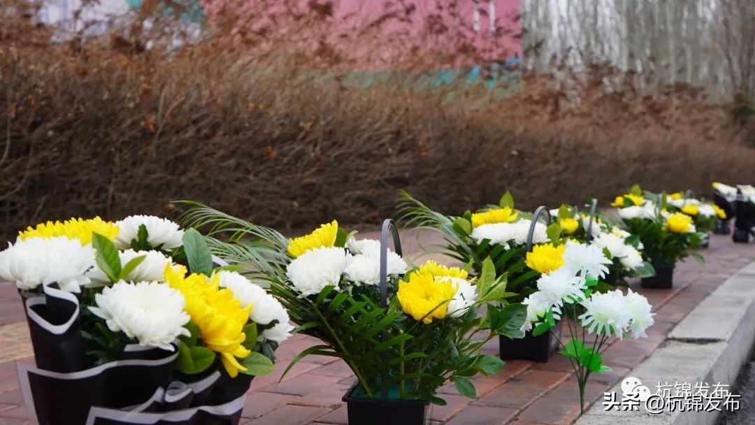 清明节文明祭祀我们在行动,清明节绿色文明祭祀弘扬时代新风