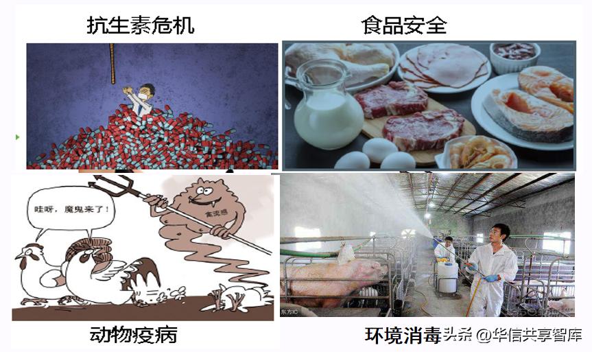 【听课笔记】王冉研究员：噬菌体的研究现状及应用前景