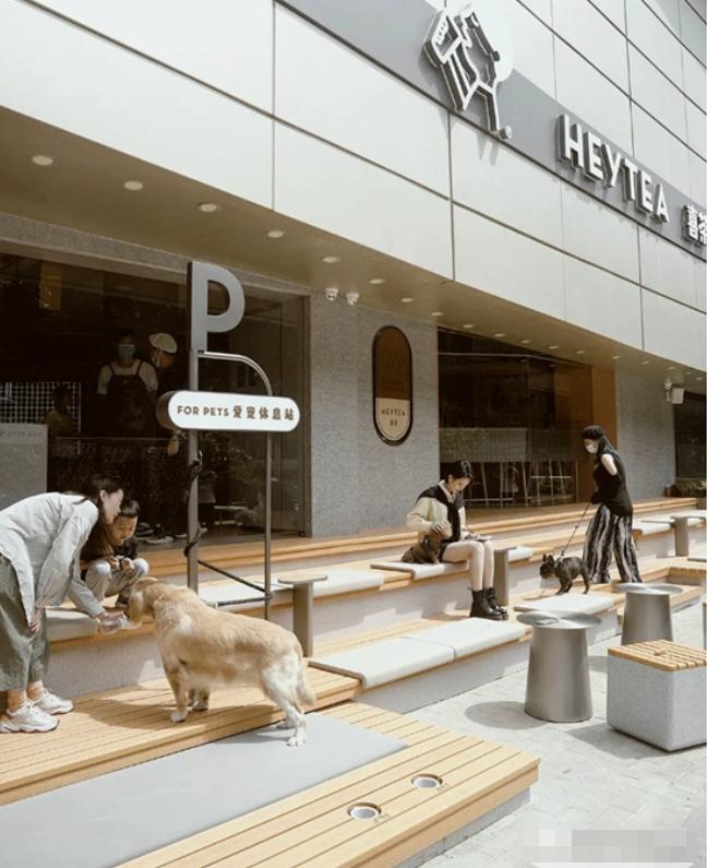 助教文案,招聘女助教文案