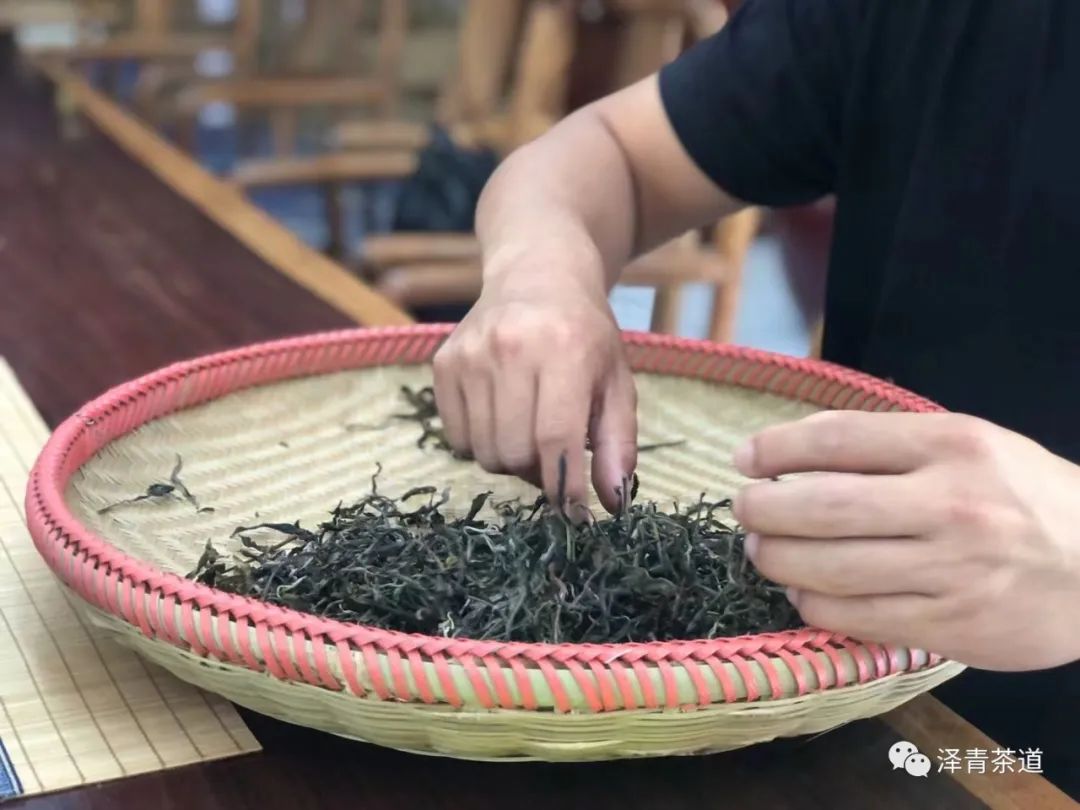 泡新茶普洱茶的正确方法,普洱春茶冲泡