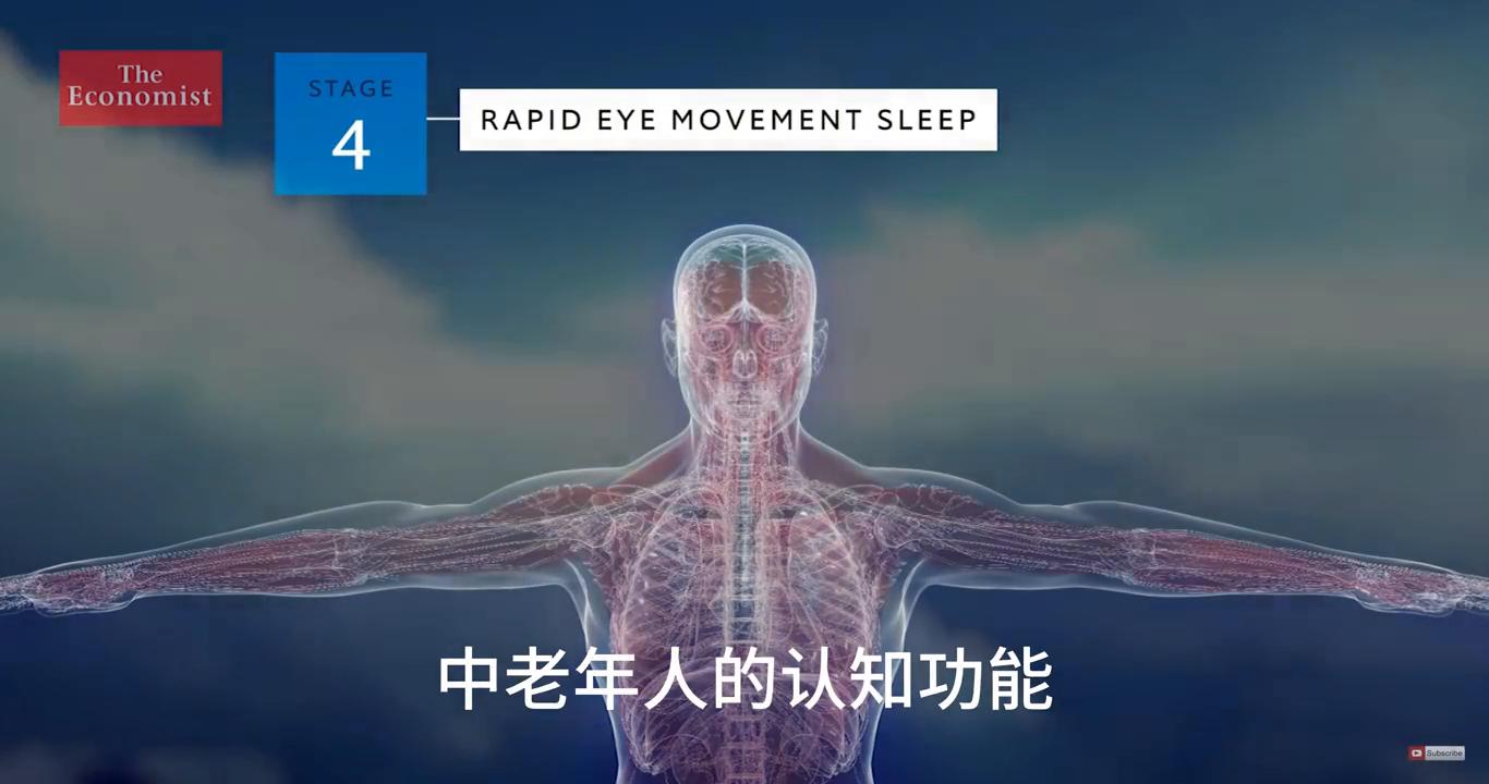 中午睡觉能补充晚上睡眠不足吗,健康睡眠每天睡够几小时