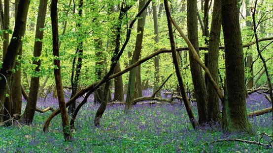 香奈儿爱马仕逼格,哪些香奈儿爱马仕的奇葩产品