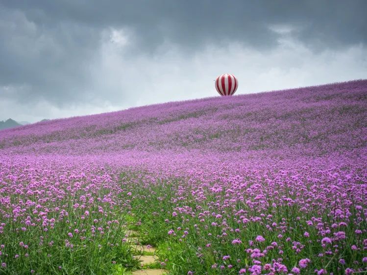 贵州美食攻略香酥辣椒,贵州人春天必吃的美食