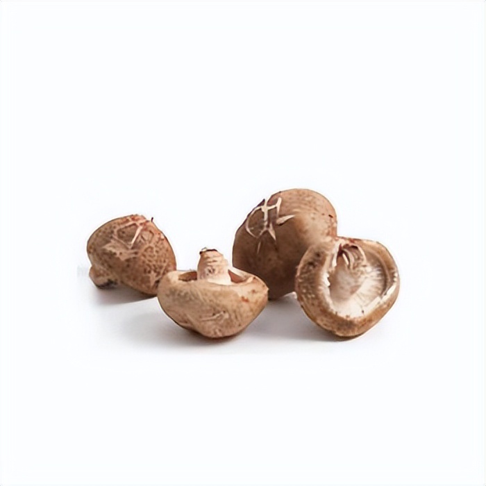 泡发技巧大全,100种泡发技巧