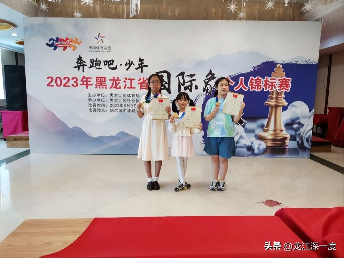 黑龙江全国业余象棋大赛,锦标赛黑龙江省