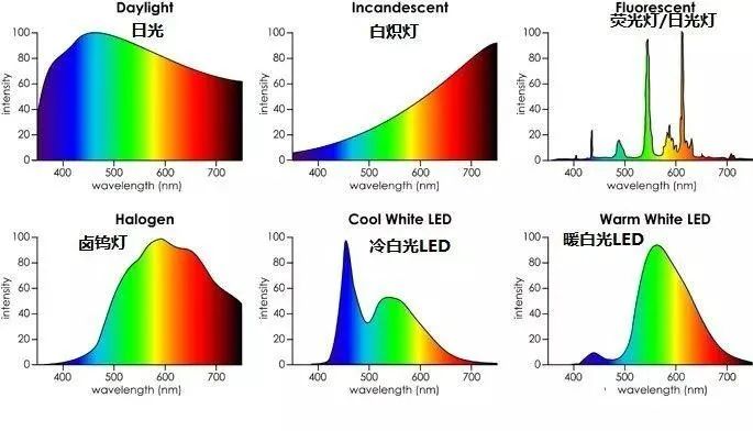 有的墩墩还在路上，有的墩墩已经变黄……如何拯救「焦糖」墩墩？