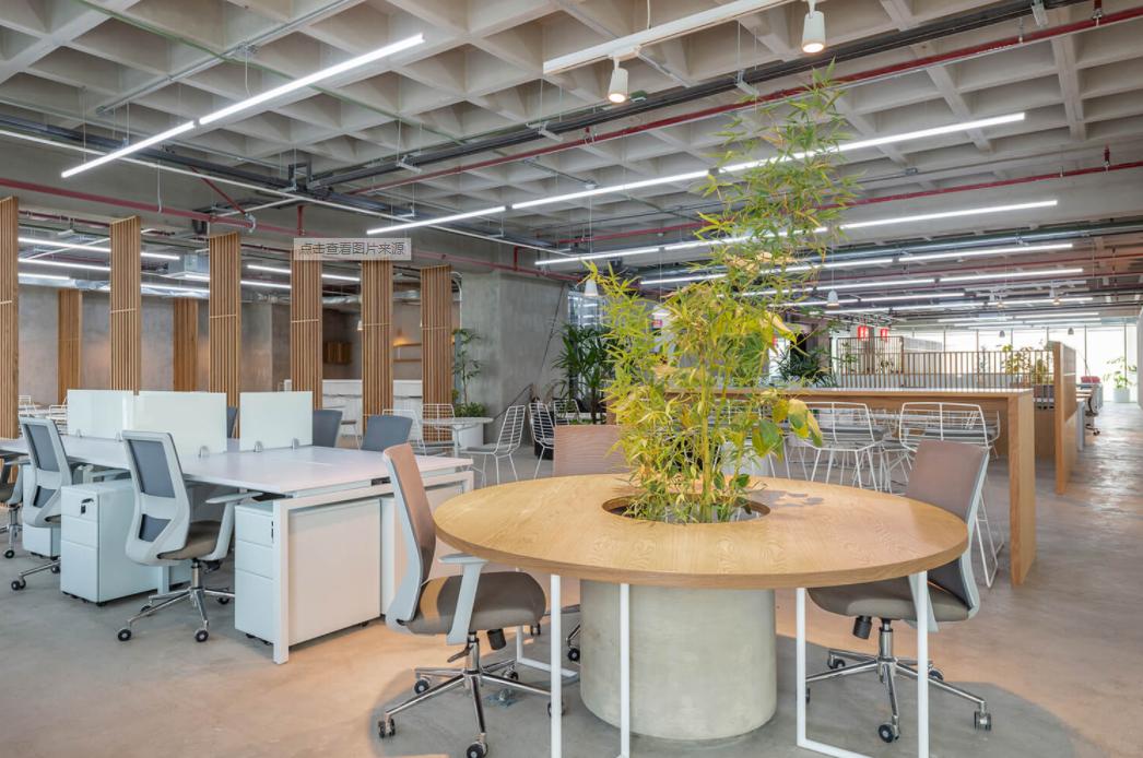 一家创业公司你会怎么做,创业型公司应该怎么创办