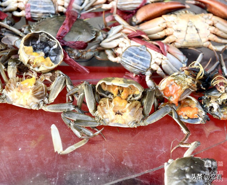 天津西关街老胡同大全,天津西关街美食糕点推荐