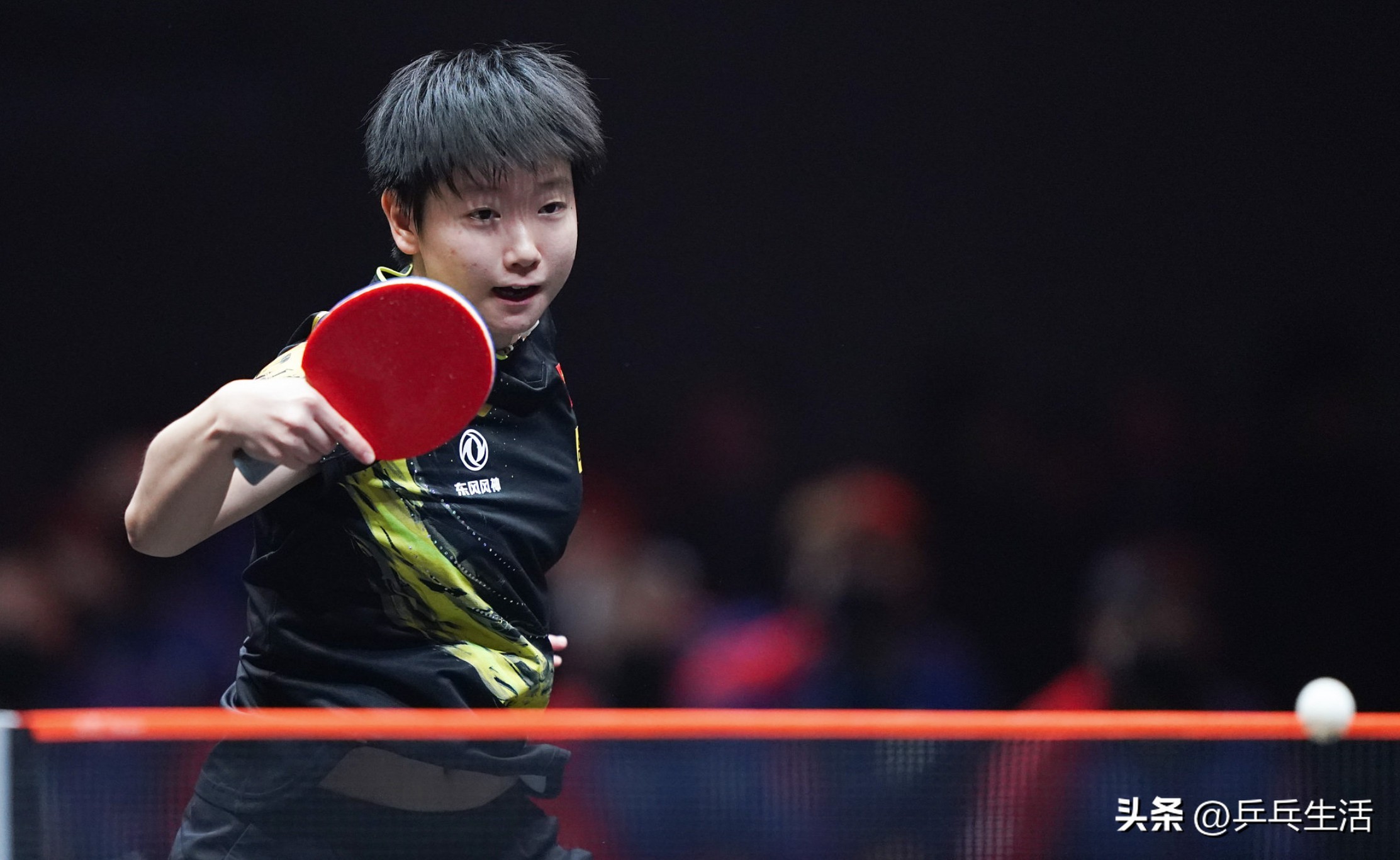 孙颖莎陈梦底板配置,孙颖莎陈梦正手攻球谁更准确