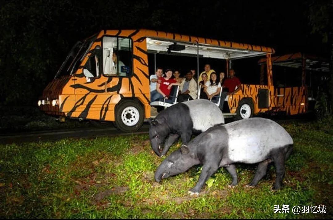 新加坡攻略超详细,新加坡宝藏旅游地推荐