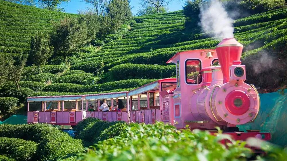 预测刷屏！疫情今春有望结束？适合2月去的18个大美山河准备好了