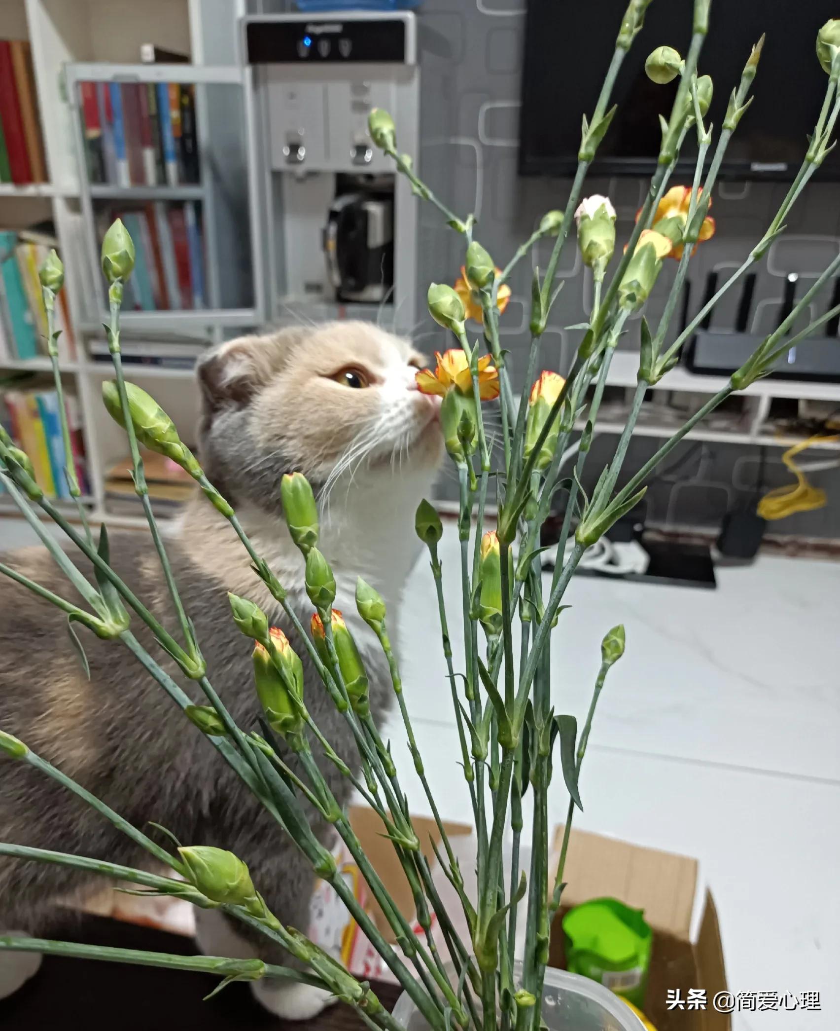 《团体咨询与心理治疗》：团体里的成长与众不同