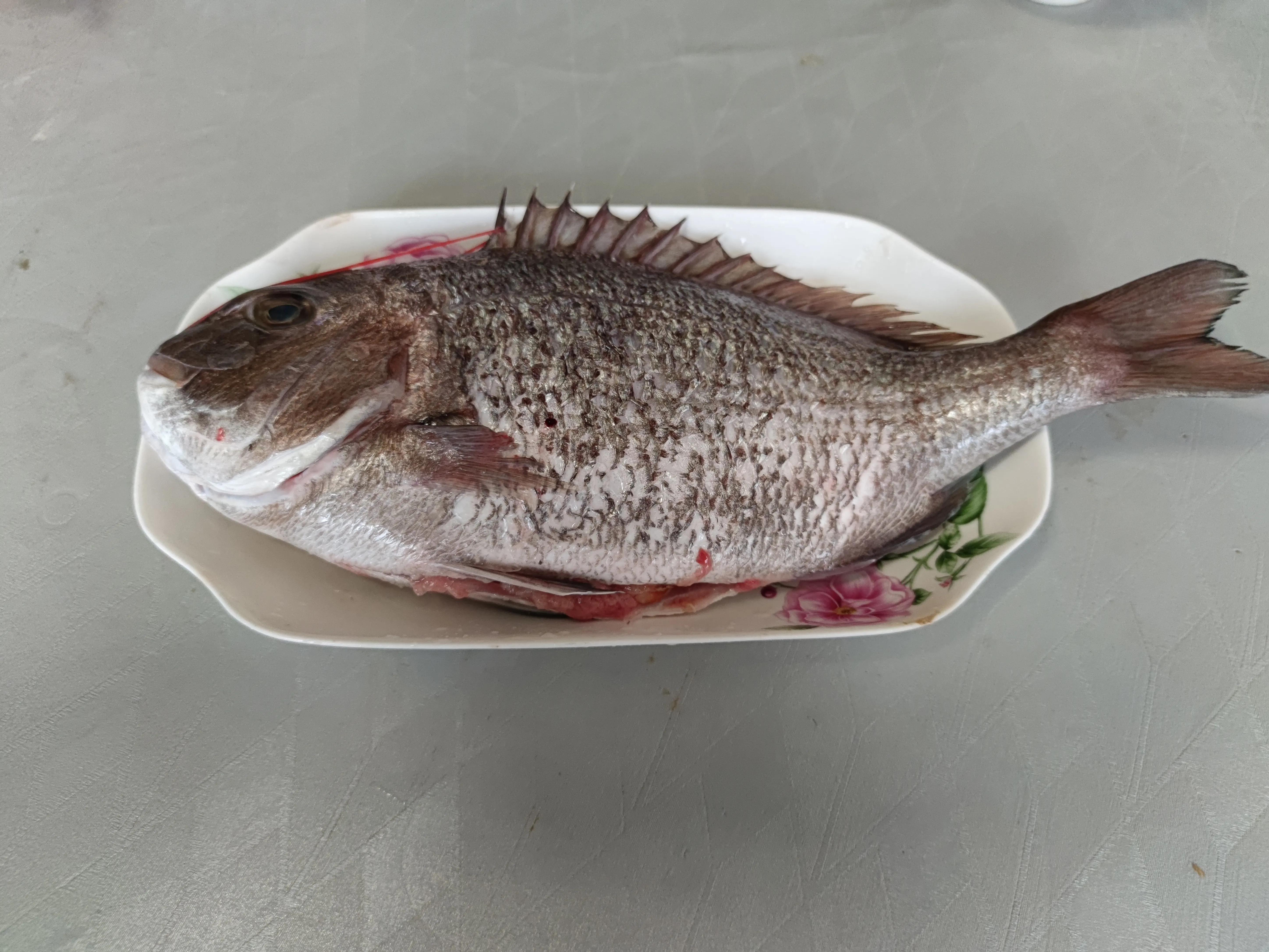 味道鲜美刺还少价格还便宜的海鱼,常吃的海鱼哪些是野生不能养殖