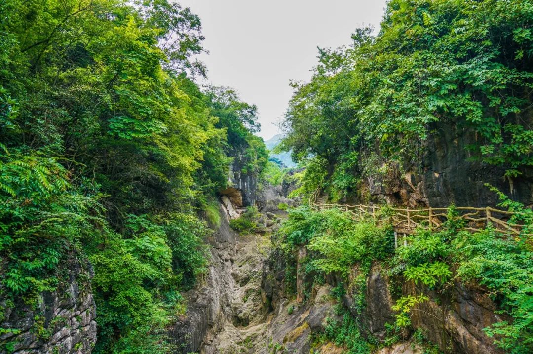 十首禅意古诗诗词,十首顶级五字禅意诗