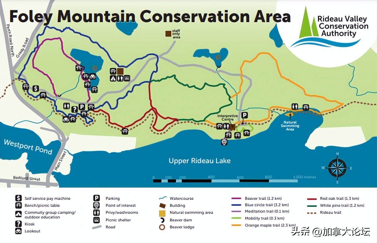 多伦多最近的风景 (多伦多这个季节看枫叶去哪里)
