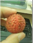 适合三月吃的美食有哪些,3月底适合吃美食