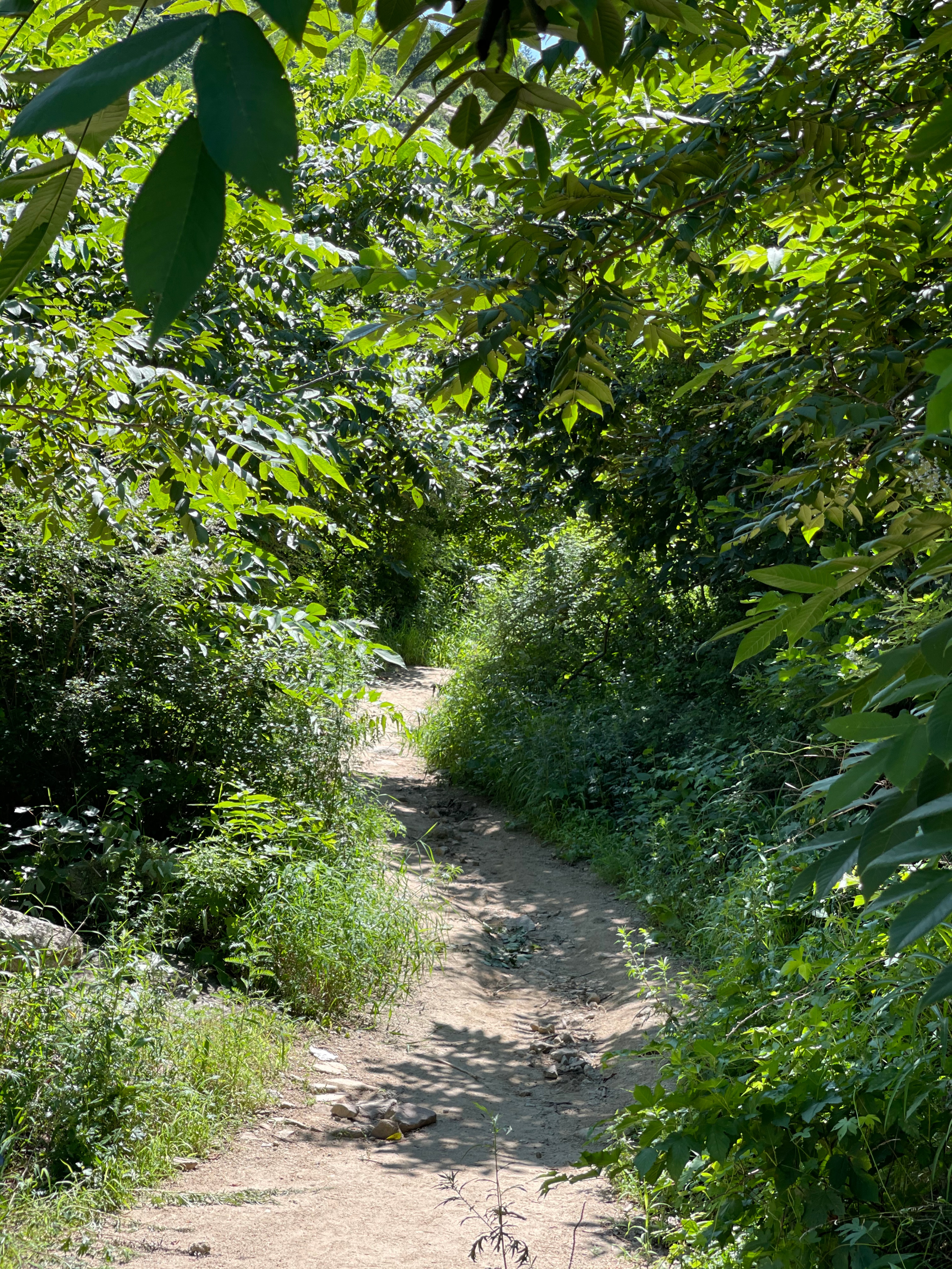 天津春天亲子徒步旅游路线推荐,天津户外徒步一日游推荐