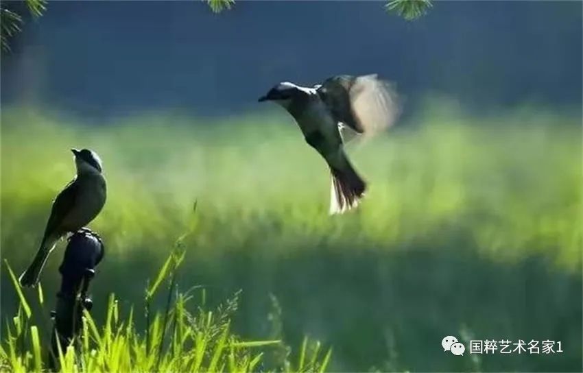 国粹艺术名家刘福生,海丰陈汉洲书法