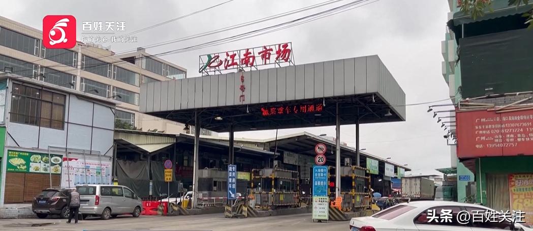 你以为花了几大百买的是进口3J车厘子？其实只是……成本低至3毛！