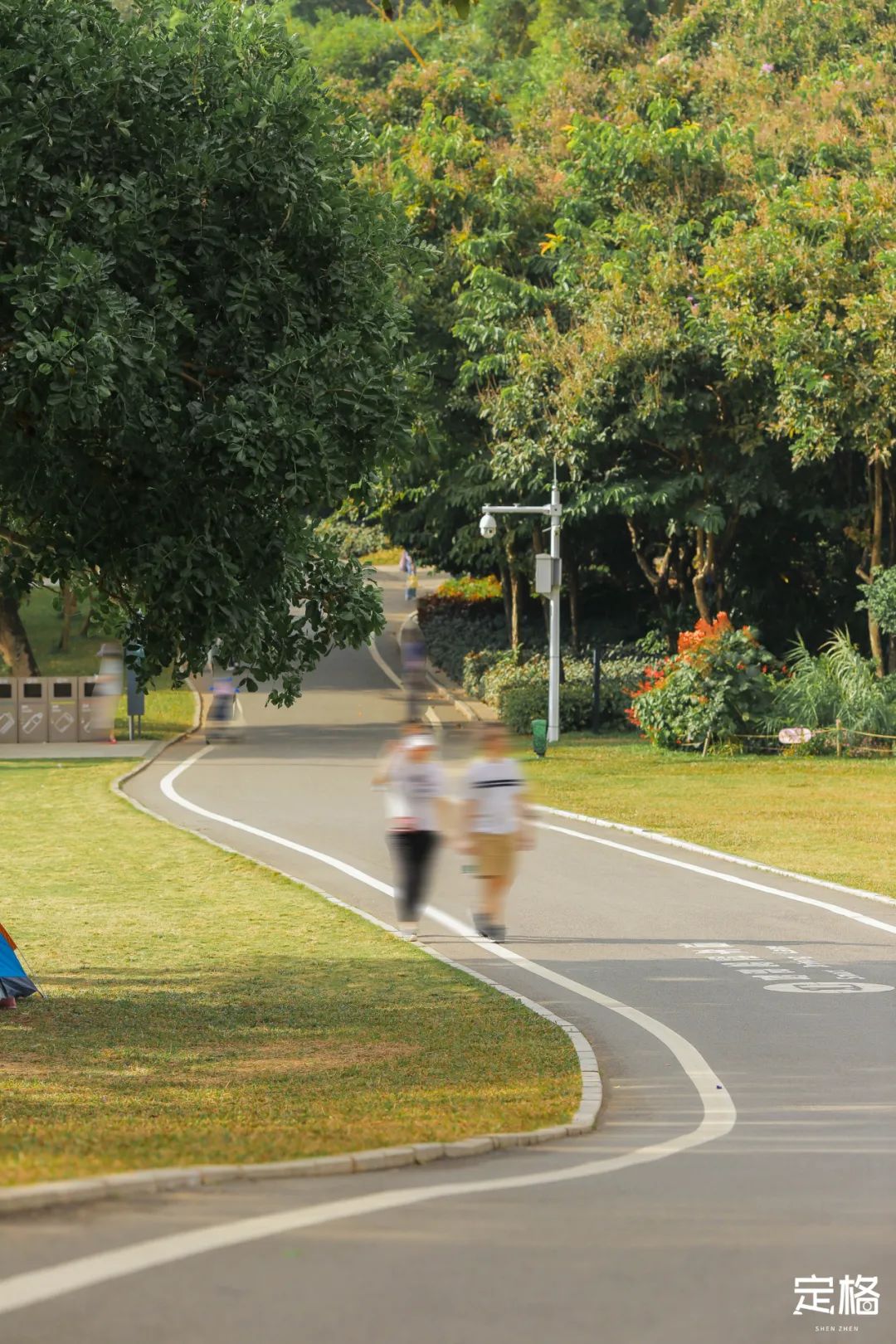 福田必去十大网红景点,福田哪里最值得去玩