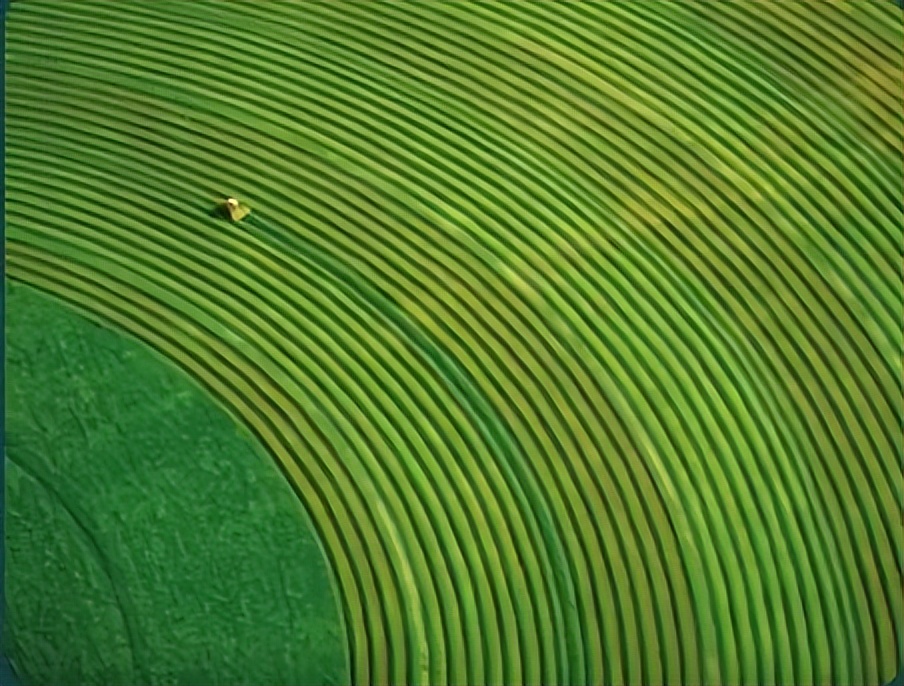 蒙牛圣牧牛奶,蒙牛圣牧有机纯牛奶官方旗舰店