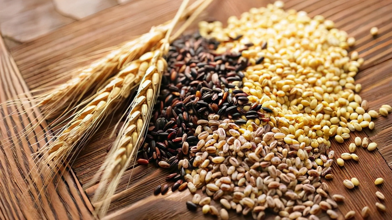 饭量越小衰老速度越慢吗,饭量越少越健康是怎么回事