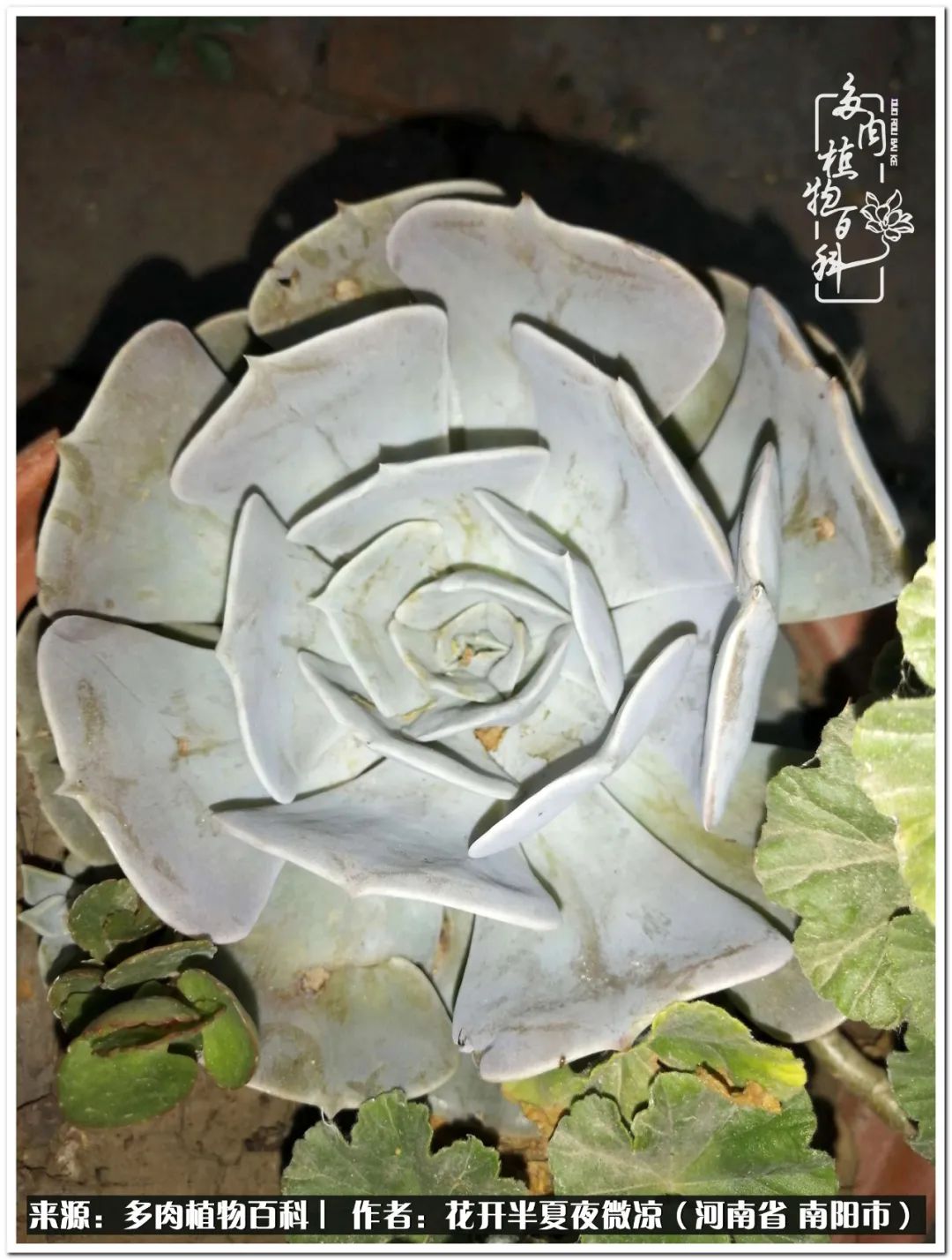 万事开头难只要坚持才有收获,万事开头难只要肯干就会有结果