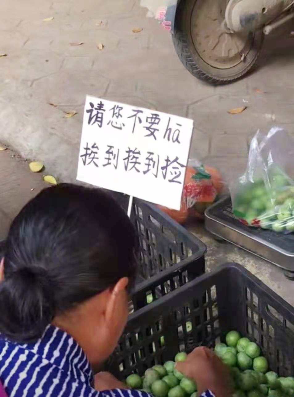 大学水果店推广,大学水果店碎碎念式标语走红