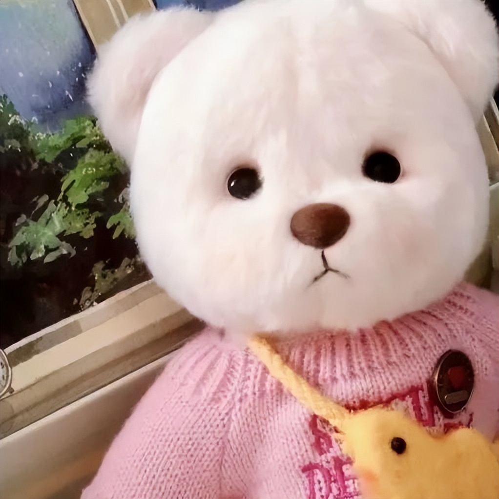 可可爱爱的宠物头像,可可爱爱小熊头像