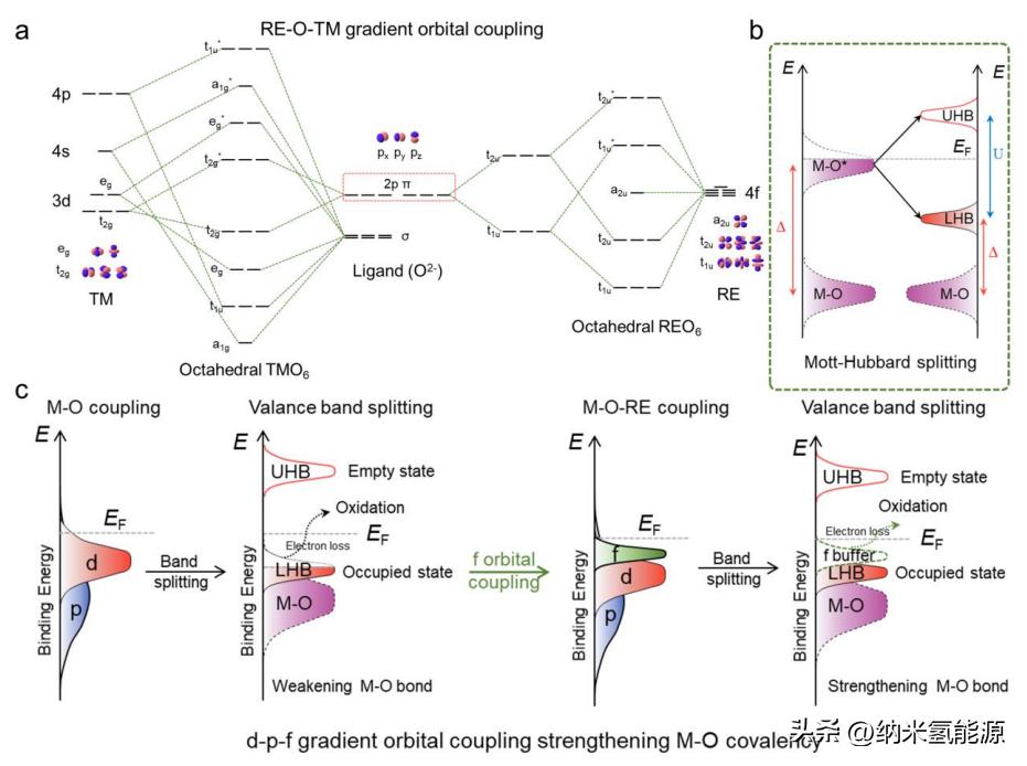 AM:通过梯度轨道耦合来加强Co-O共价作用，实现高效OER