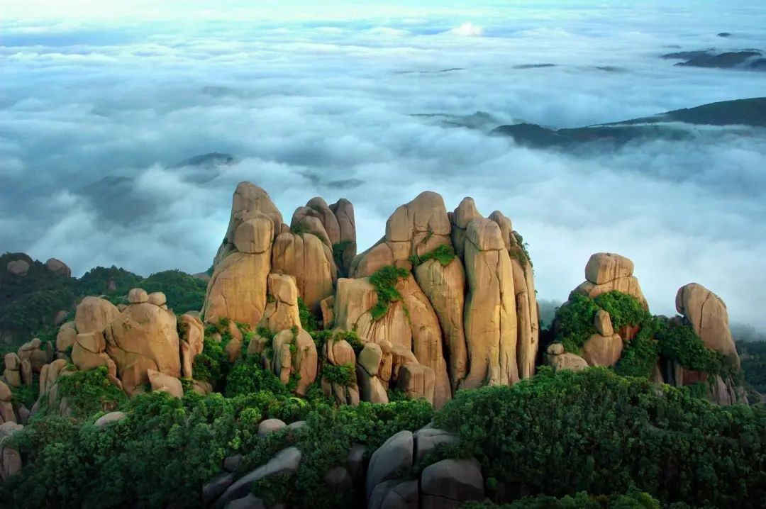 白茶的鲜爽究竟藏在哪里,白茶的迷人魅力是什么样的