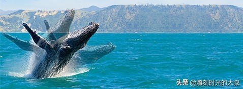 2022年6月哪款相机最值得入手,2022最值得购买的长焦相机