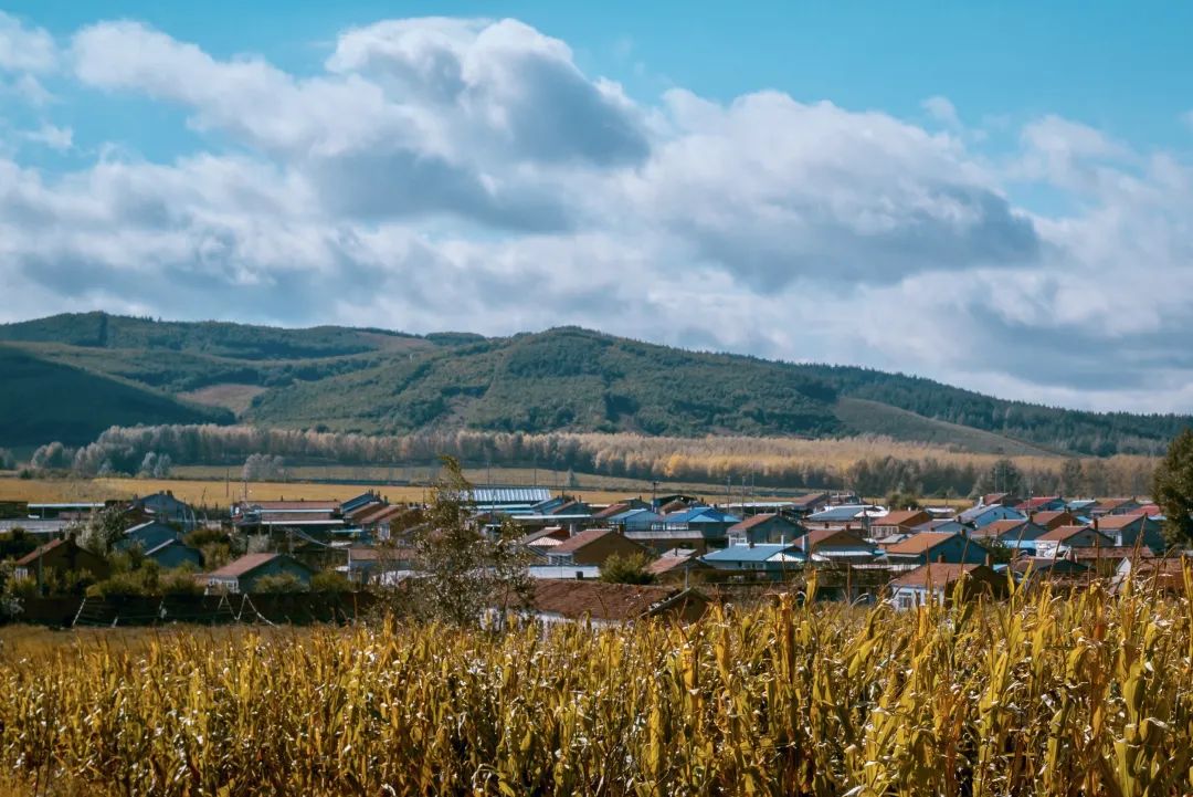 编导手记|勃利：厚积薄发东北大地焕新颜——吕明月