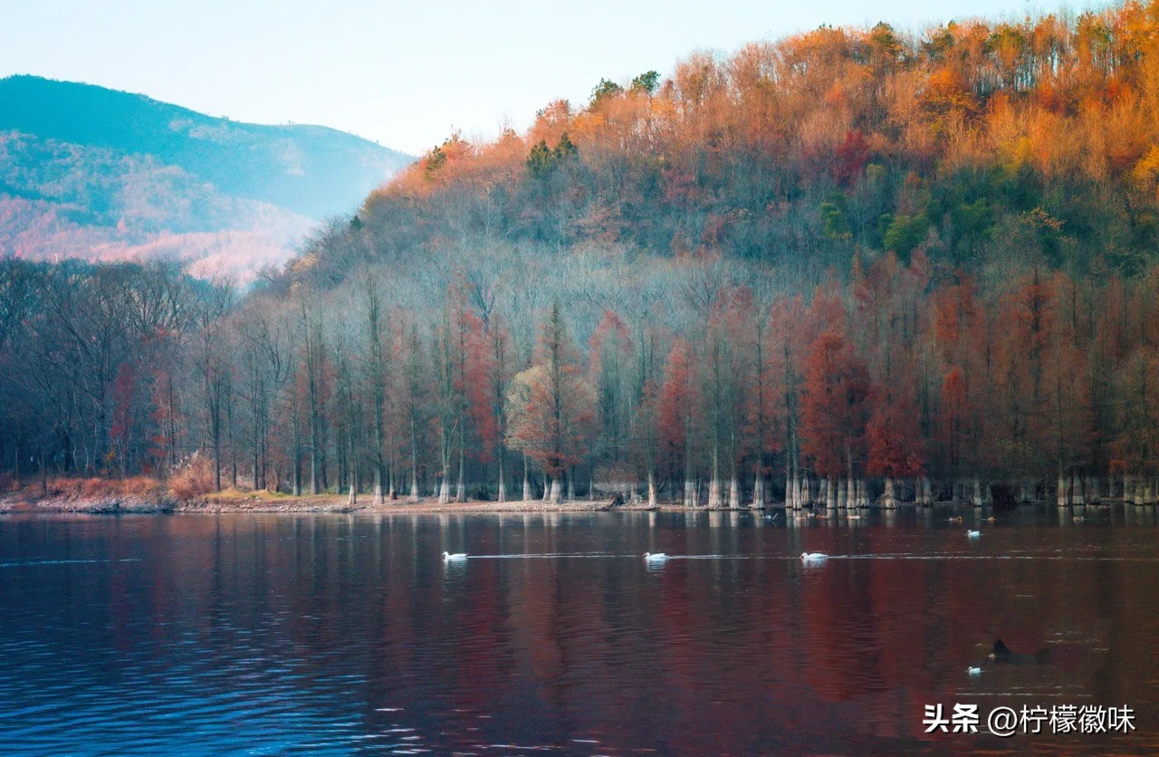 合肥周边小众宝藏旅行地,合肥周末一日游必去景点排行榜