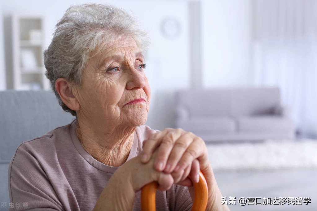 加拿大子女团聚移民新政策,加拿大父母团聚移民成功率多少