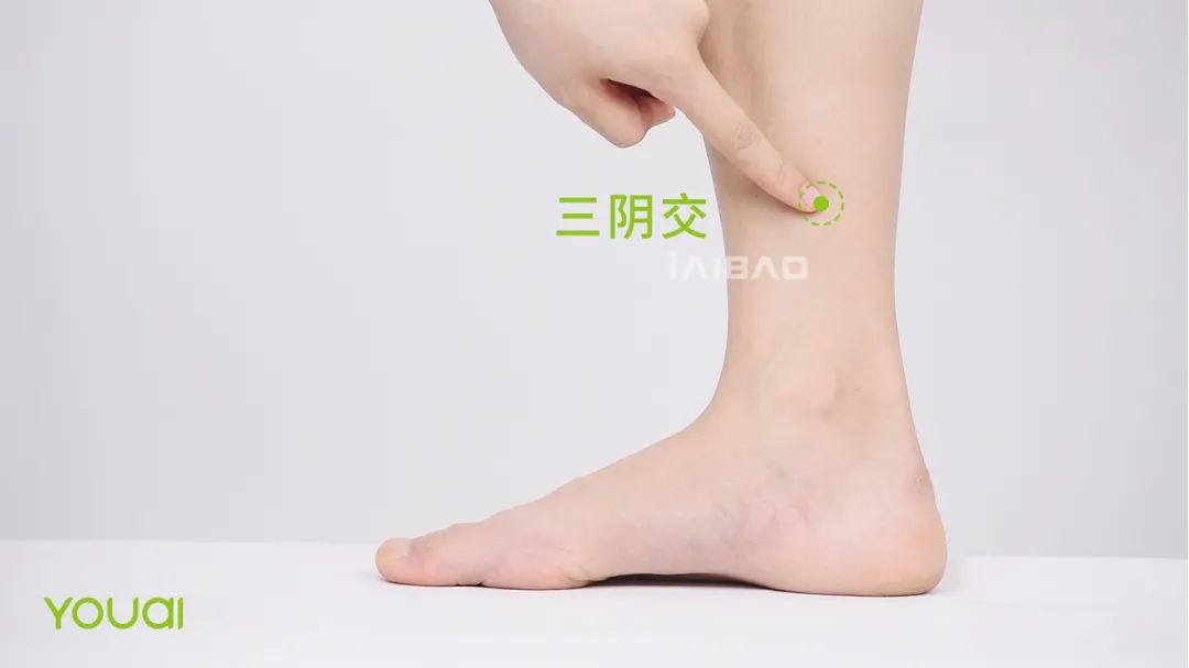 惊蛰养生阳气大振,惊蛰的养生调理方案