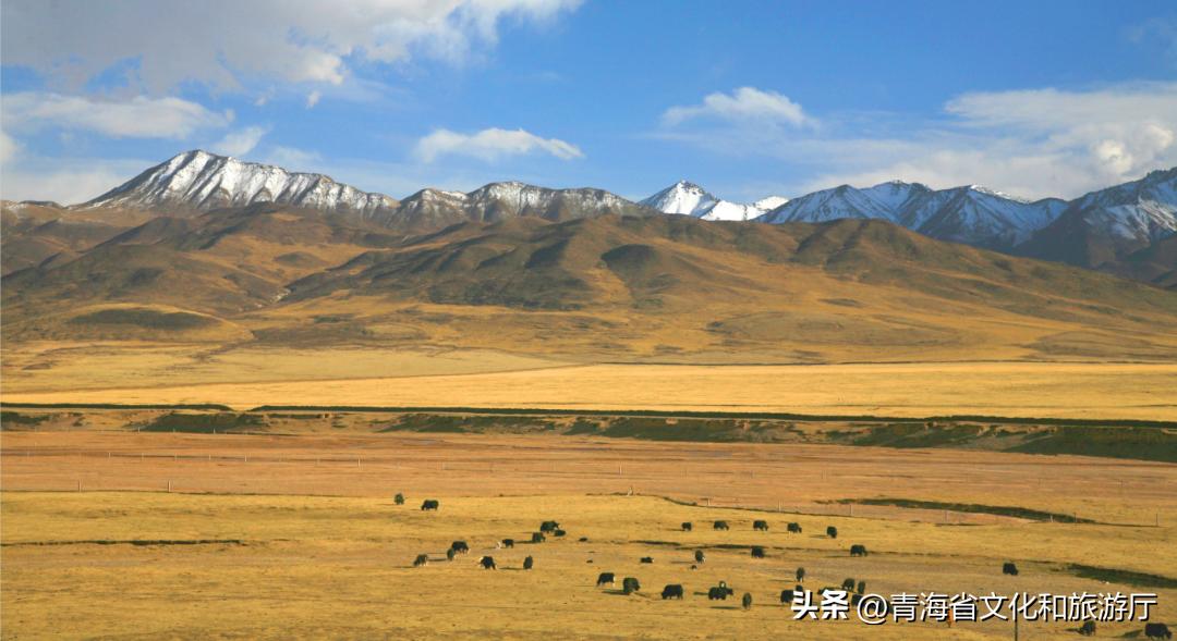 冬日青海的美，只有去过的人才知道
