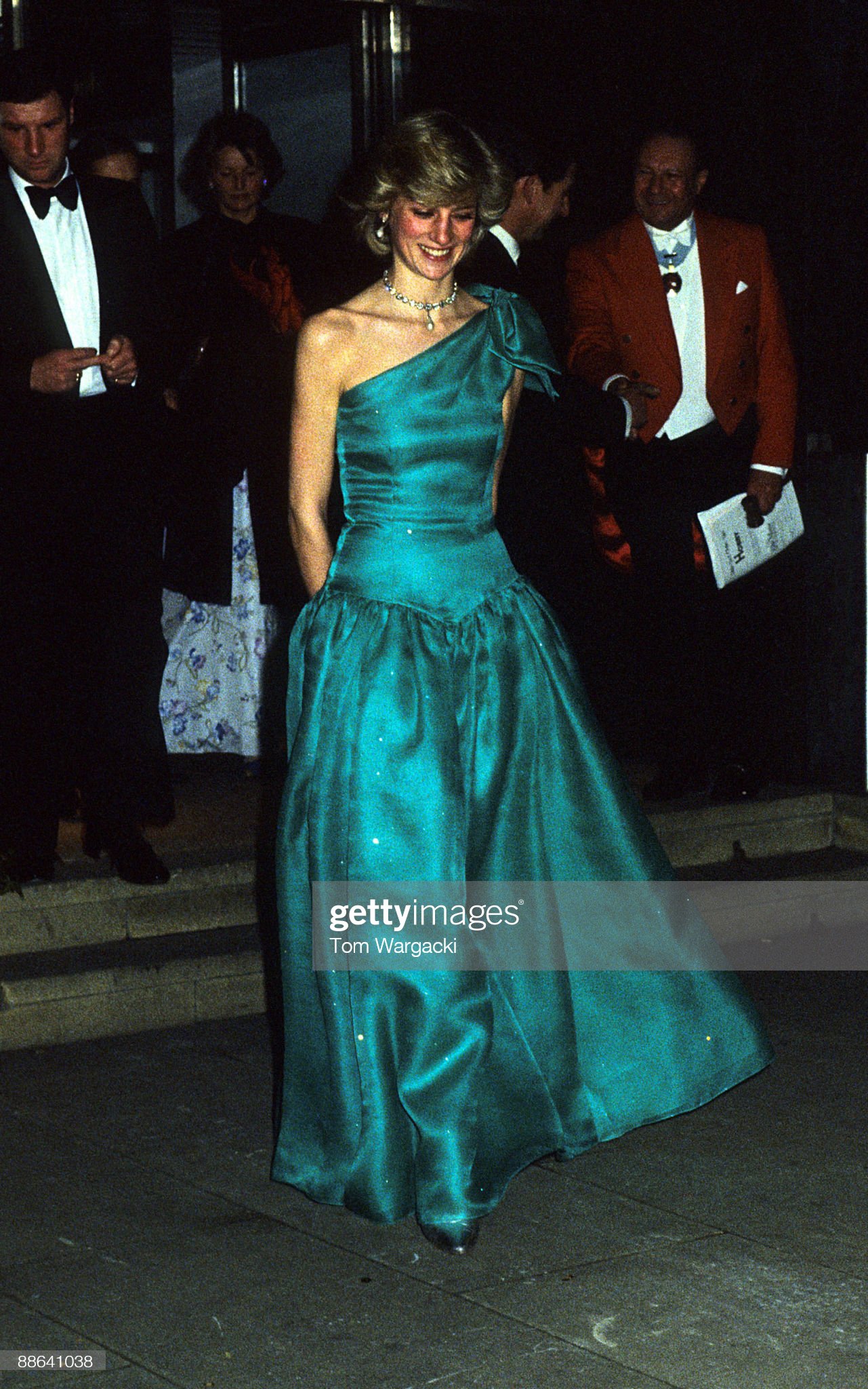 戴安娜王妃的蓝丝绒礼服,戴安娜王妃惊世容颜
