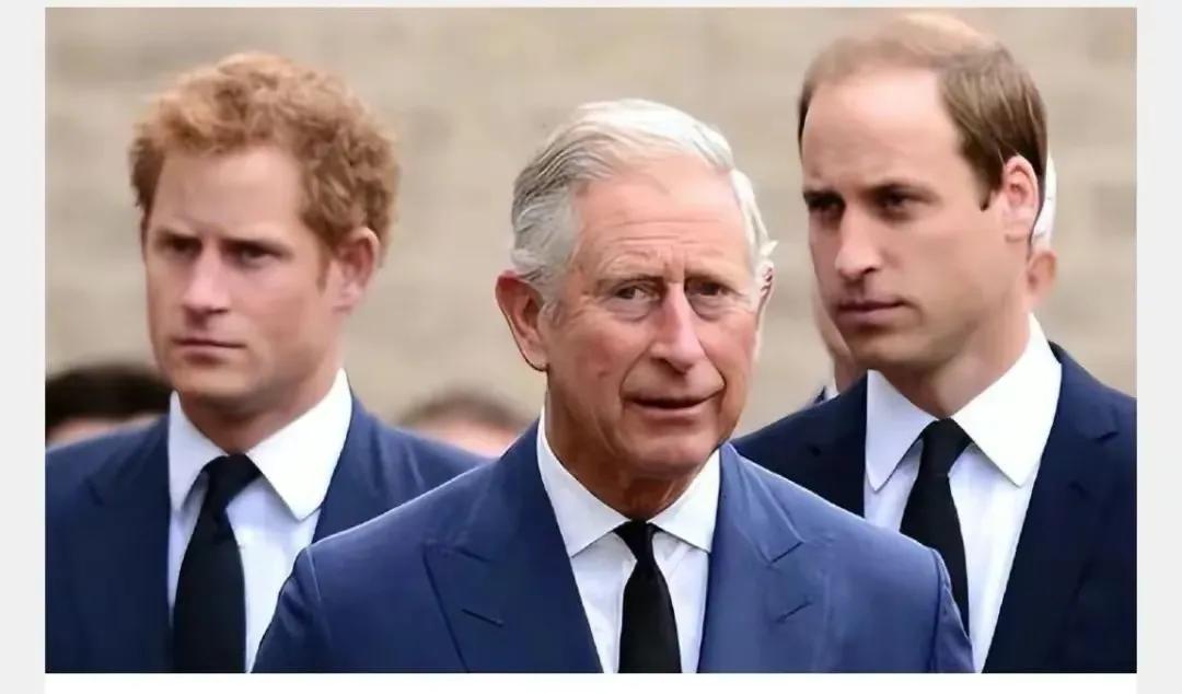 威廉王子与卡米拉较量,威廉王子卡米拉第一次见面