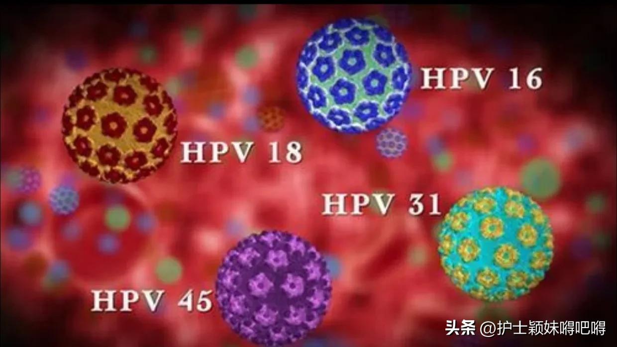 中国女性感染hpv的比例,女性感染hpv比例是多少