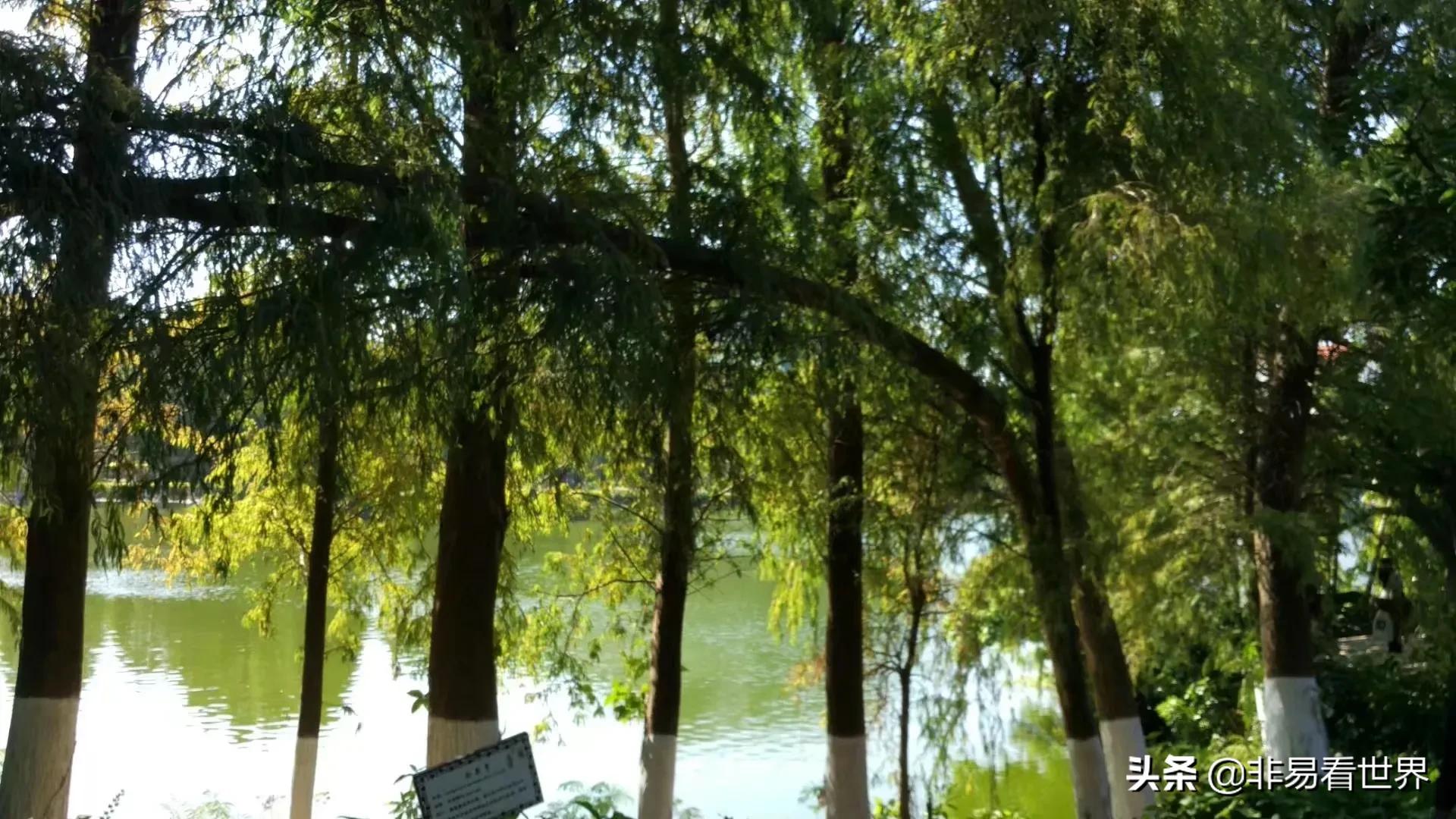 回忆一下我在厦门的生活,厦门是个慢生活的都市