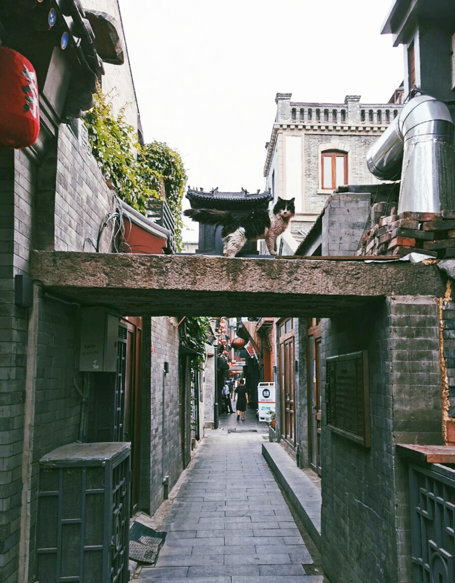 或许是北京最小的“庙”，仅巴掌大小，却被胡同商贩们视为保护神