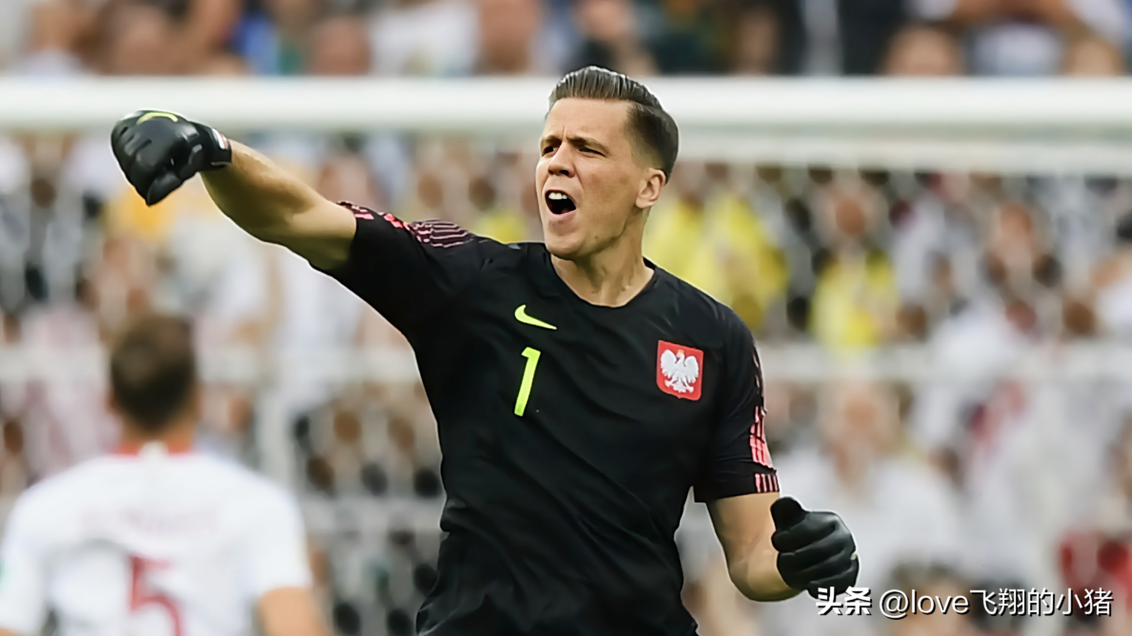 波兰2022主力阵容,波兰2022世界杯阵容