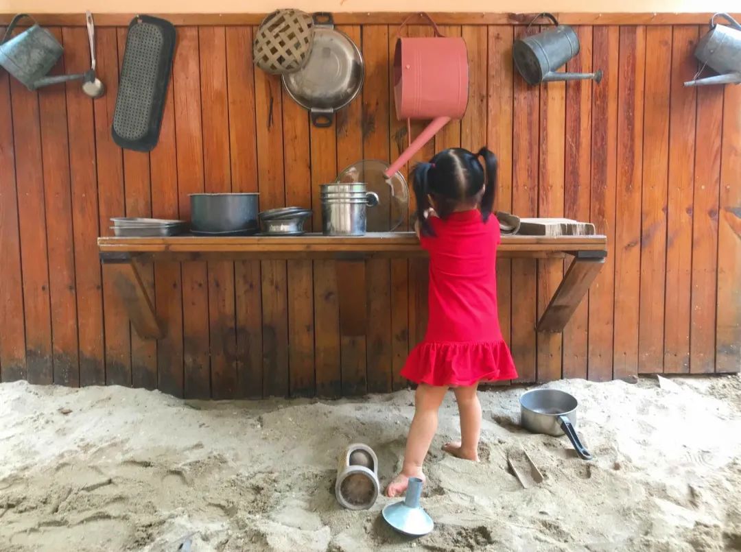 一个有大片绿地、果树、鱼塘、菜地，还有小鸡和鸭子的小岛幼儿园