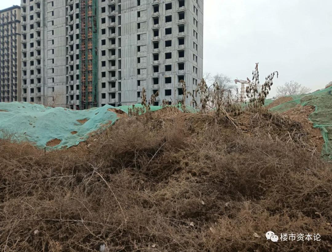 涿州鹏渤印象城最新消息,河北涿州鹏渤印象城到底怎么了